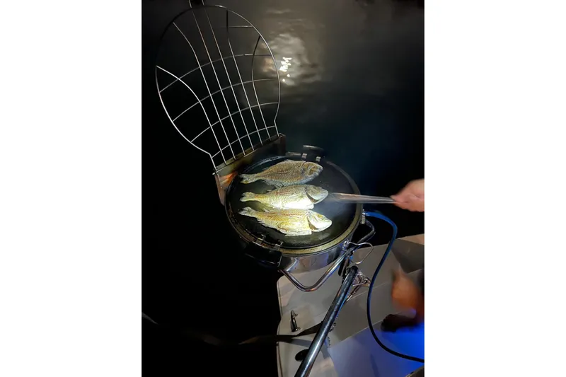  Yacht Photos Pics Grilling fish on a Lagoon 450 F yacht barbecue at night, 2018 model.