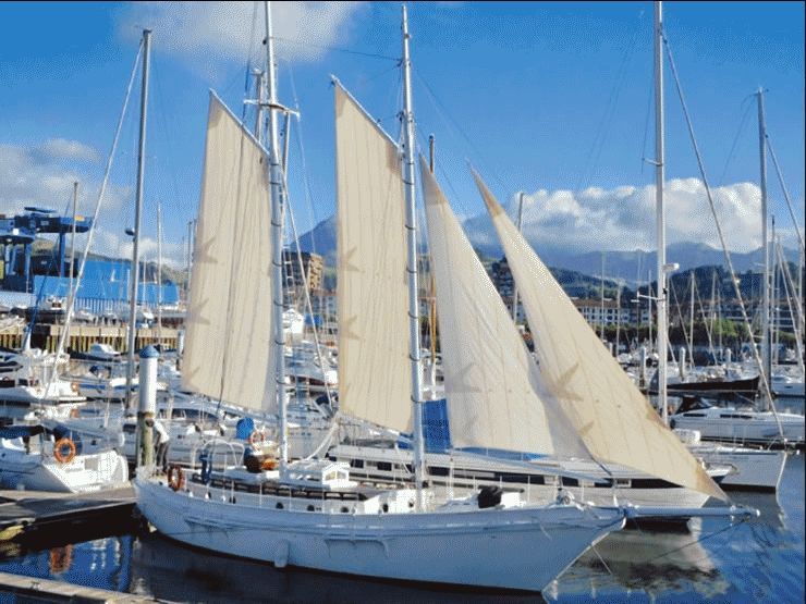 2011 Custom goelette