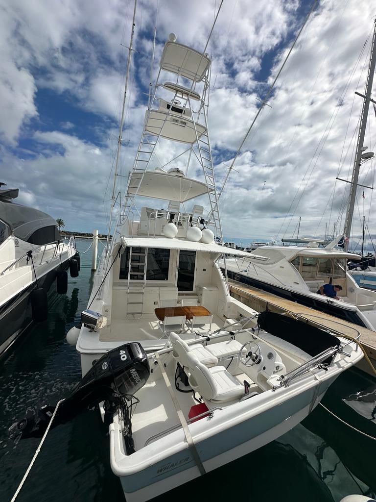 2002 Bertram 51 