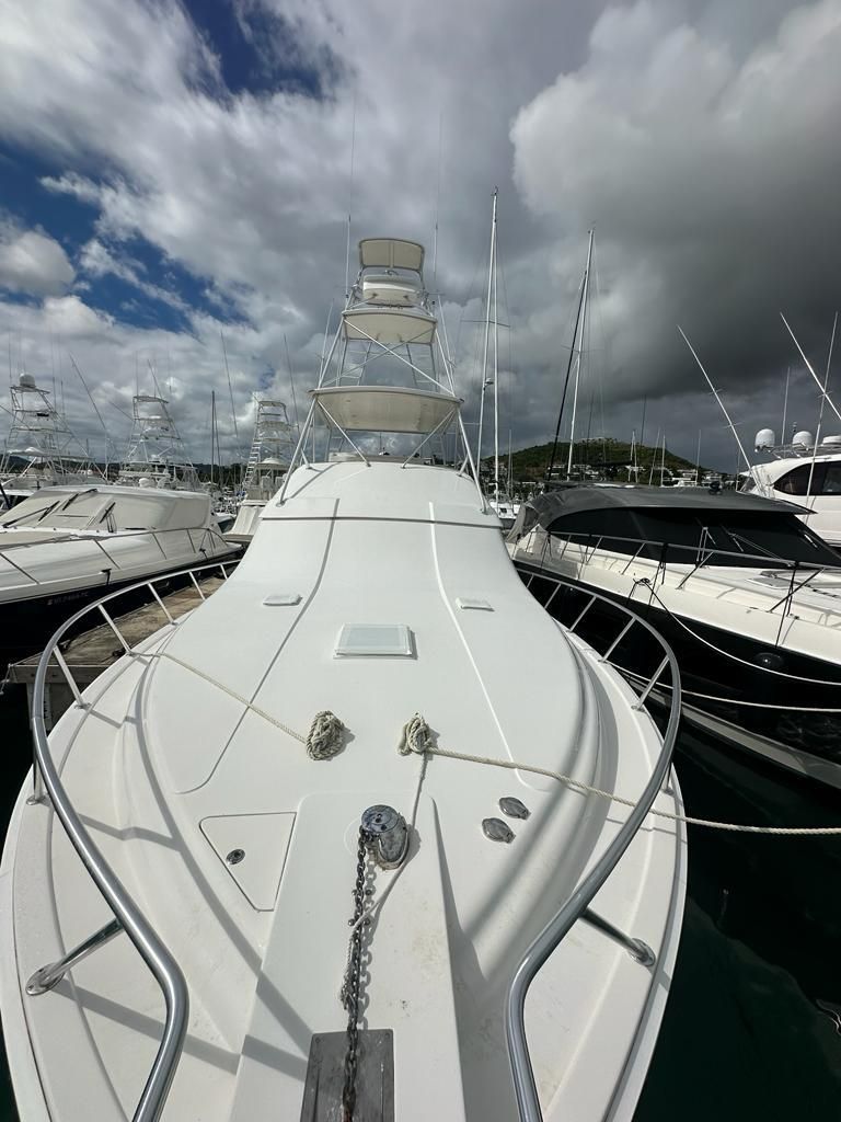 2002 Bertram 51 