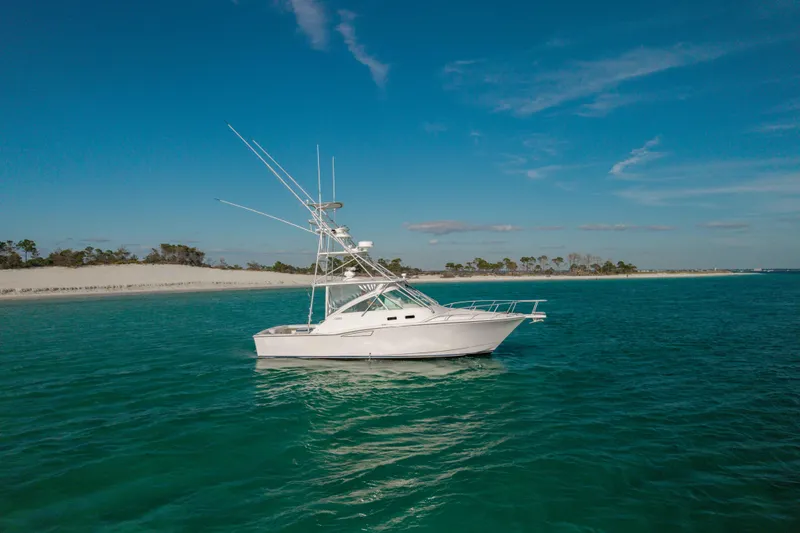 Miss Big Gun Yacht Photos Pics 2000 Cabo 35 Express boat on clear blue water near sandy shoreline.