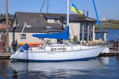 C&C 36