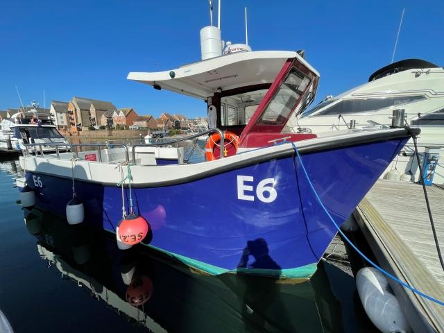 Dealer New COMMERCIAL Boats for Fishing Use with Length In Meters