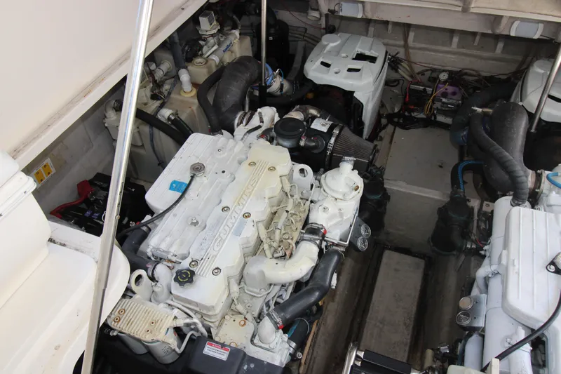 Rowdy Rio Yacht Photos Pics 