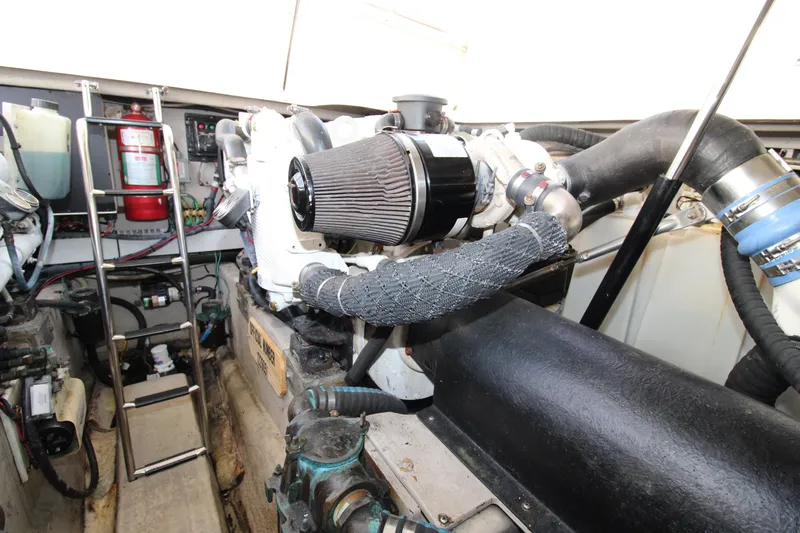 Rowdy Rio Yacht Photos Pics 