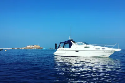 Sealine 290 Ambassador
