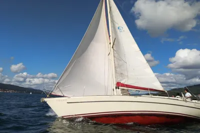 1986 Harlinger Cumulant 38