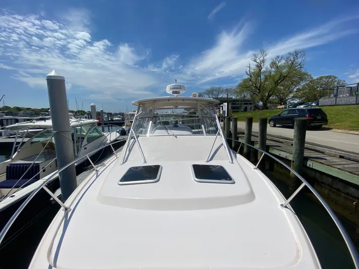 Freedom Yacht Photos Pics 