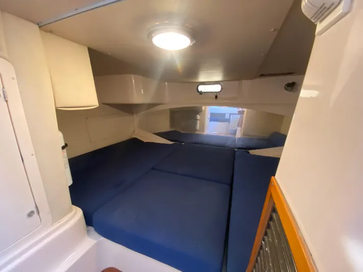 Freedom Yacht Photos Pics 