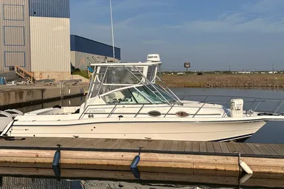 Stamas 310 Express