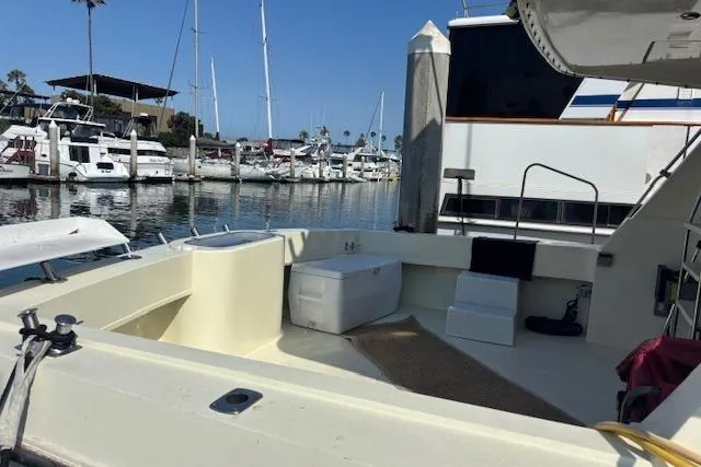 Group Therapy Yacht Photos Pics Livewell (Integral)