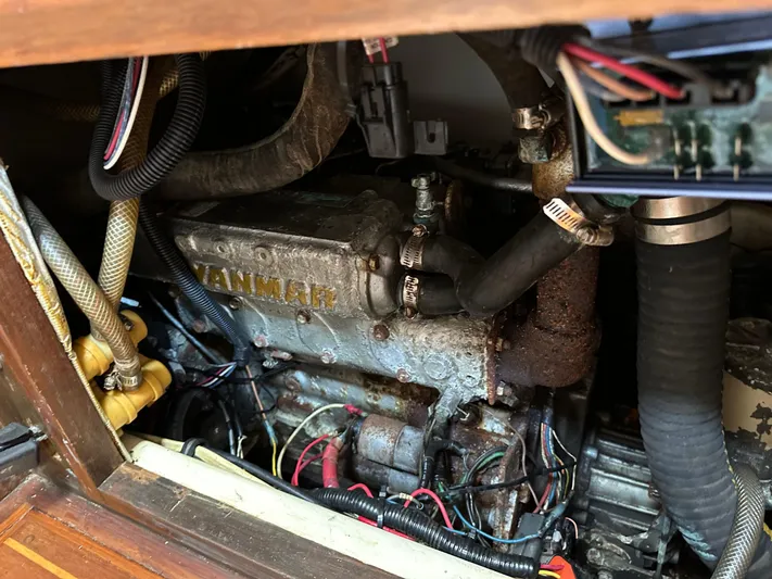 Lagniappe Yacht Photos Pics 