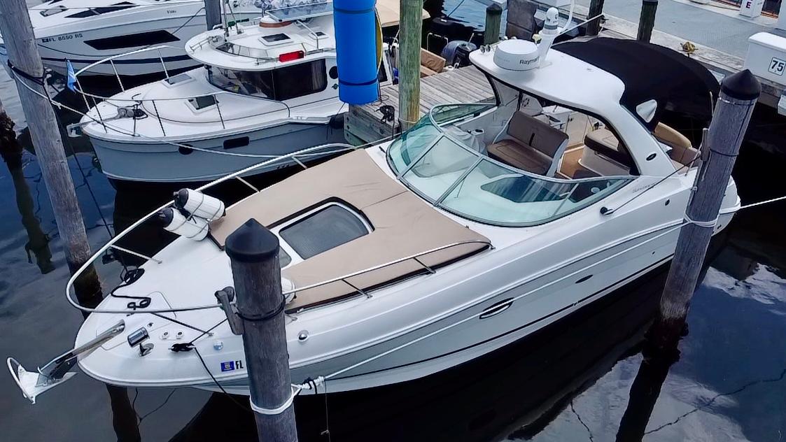 Sea Ray Sundancer 310