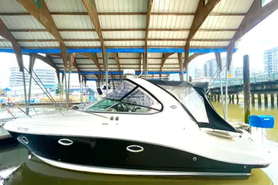 Rinker 290 Express Cruiser