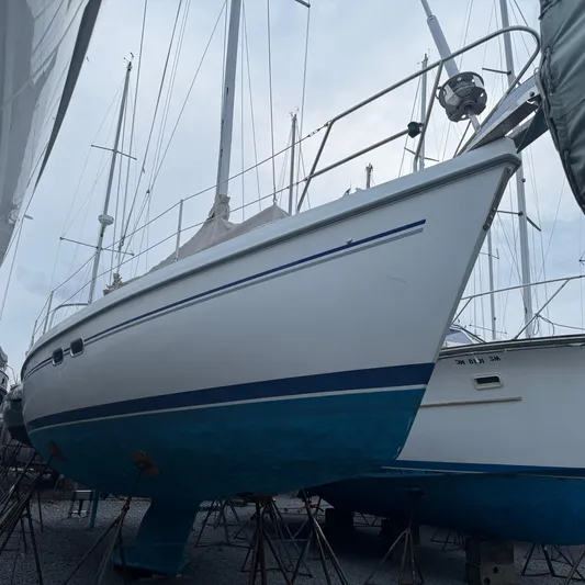 Templum Yacht Photos Pics 