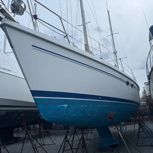 Templum Yacht Photos Pics 