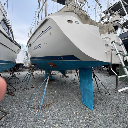 Templum Yacht Photos Pics 