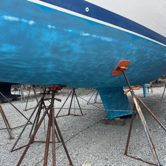 Templum Yacht Photos Pics 