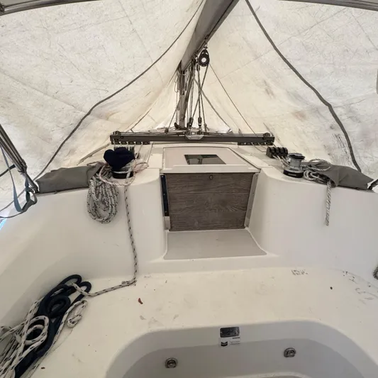 Templum Yacht Photos Pics 