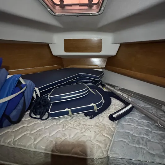 Templum Yacht Photos Pics 