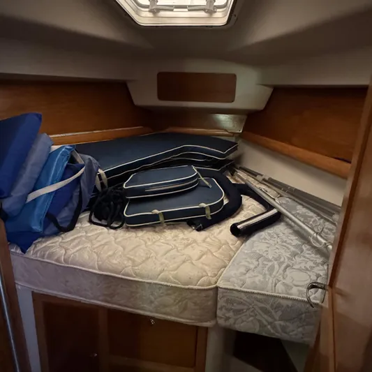 Templum Yacht Photos Pics 