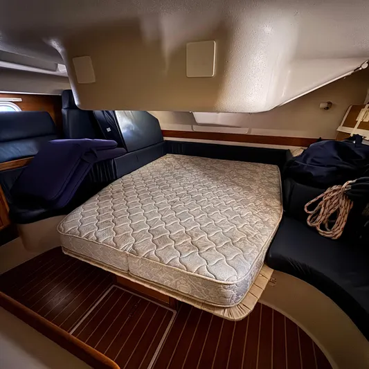 Templum Yacht Photos Pics 