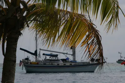 Endeavour Endeavour 43
