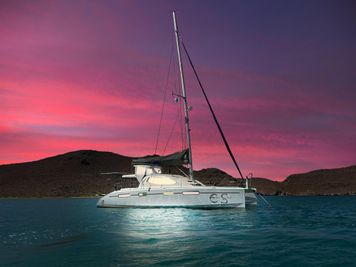 2010 Leopard 46