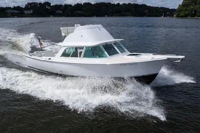 Bertram 31