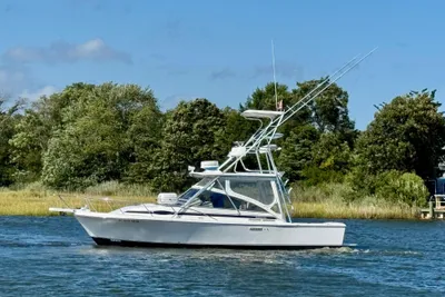 Blackfin 29 Combi
