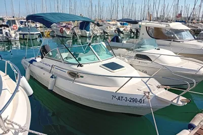 2001 Felco DELFIN 520