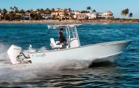 Billfish 26