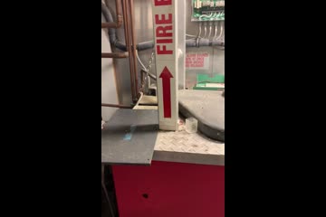 Video Placeholder