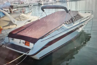 1989 Sea Ray 260 Overnight