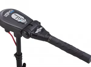 2021 Haswing Protruar 1.0 65 LBS ( 12 volt )
