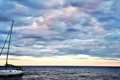 2007 Poncin HARMONY 42