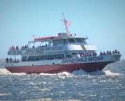1986 Aluminum boats inc whale watch dinner ferry