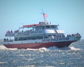 Aluminum boats inc whale watch dinner ferry