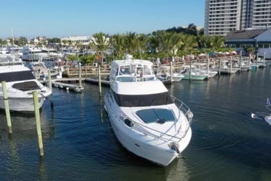 Dream Team Xiii Yacht Photos Pics 2005 Neptunus 56 Flybridge yacht docked in a marina with palm trees.