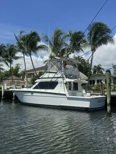 Hook 'em Yacht Photos Pics 1989 Hatteras 42 Convertible yacht docked by palm trees under clear blue sky.