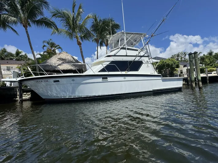 Hook 'em Yacht Photos Pics 1989 Hatteras 42 Convertible yacht docked by palm trees under a clear blue sky.
