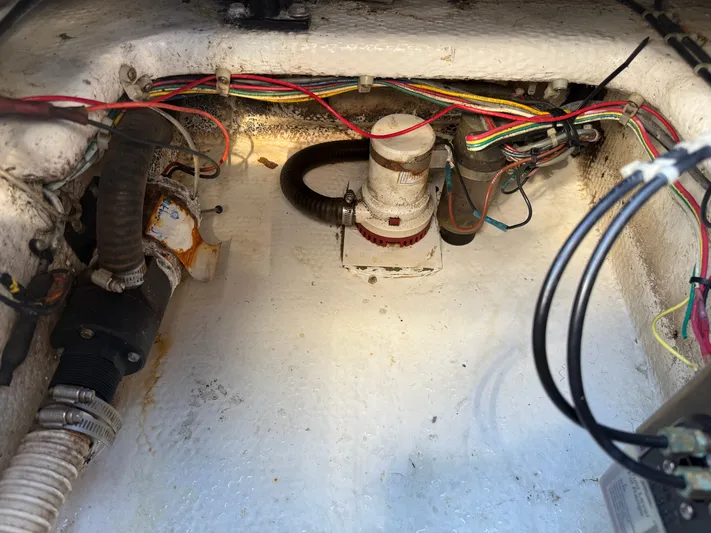 Bella Yacht Photos Pics 