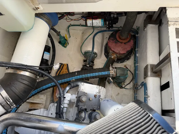 Bella Yacht Photos Pics 