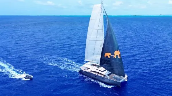 Little Giant Yacht Photos Pics Luxury Sunreef 88 DD yacht sailing in open ocean, 2017 model, with distinctive elephant sail design.