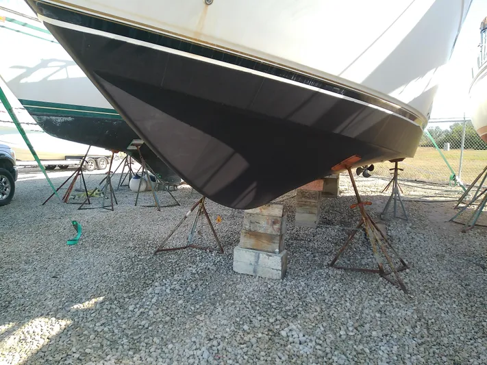 Cash Flow Yacht Photos Pics 