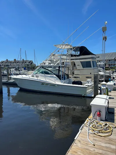  Yacht Photos Pics 2006 Rampage 38 Express boat docked at a marina under clear blue skies.