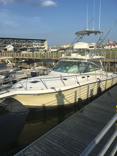  Yacht Photos Pics 2006 Rampage 38 Express yacht docked at marina under clear blue sky.