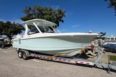 Edgewater 262CX Crossover