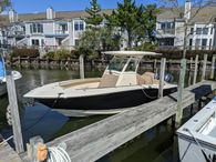 2017 Scout 255 Lxf