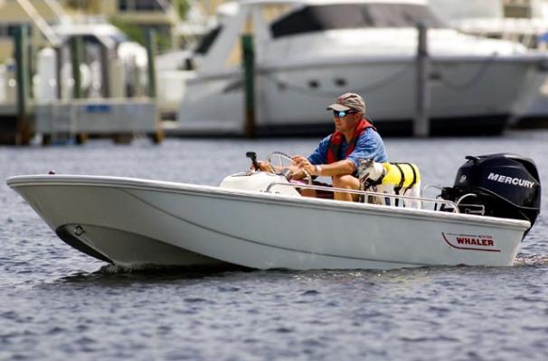 2015 Boston Whaler 110 Sport